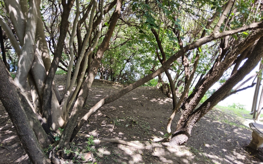 Commercial Property for Sale in Viljoenskroon Rural Free State